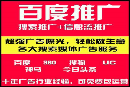 某电商平台的SEM策略与效果展示